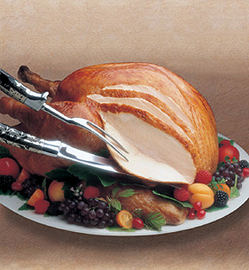 a image of a turkey. No matter how you slice it, a turkey is a turkey, is a turkey (Click here to 